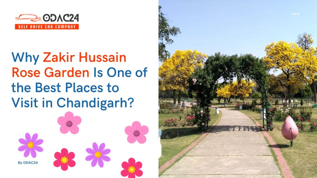 Why Zakir Hussain Rose Garden Is One of the Best Places to Visit in Chandigarh?